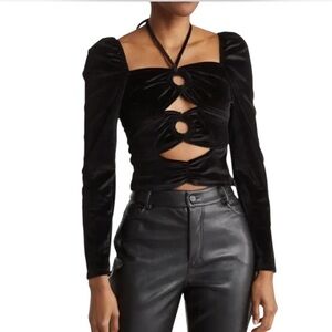 Torn By Ronny Kobo Petra Long Sleeve Cutout Velvet Top Size M